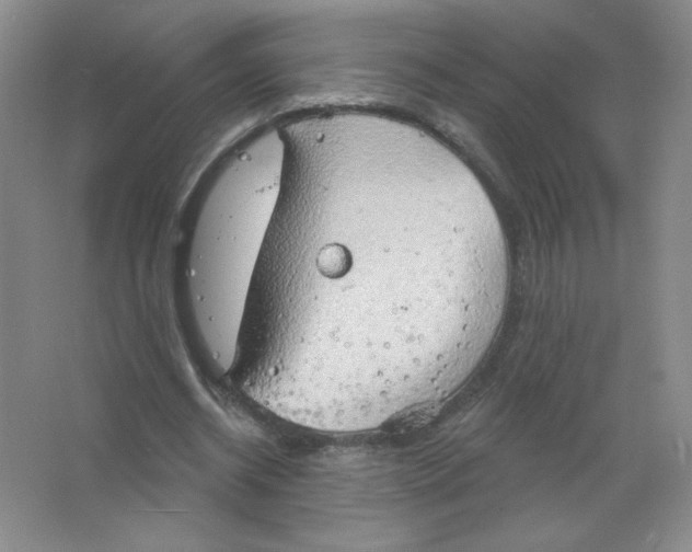 X0000063530534200602102020