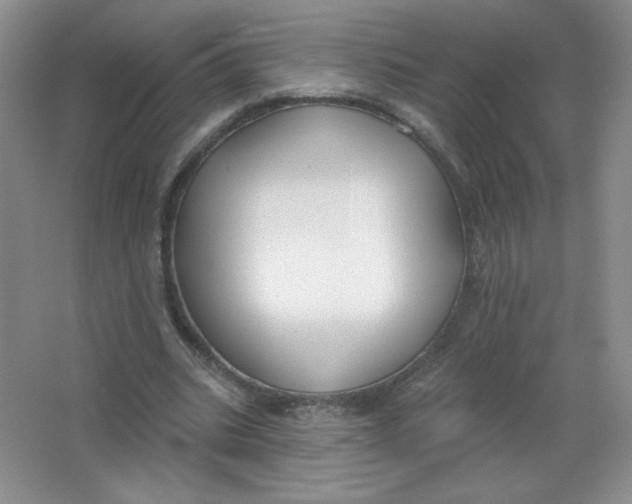 X0000063530535200602102020