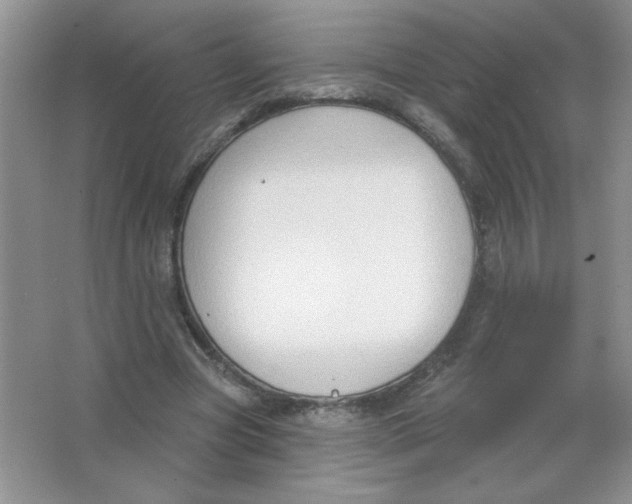 X0000063530537200602102020