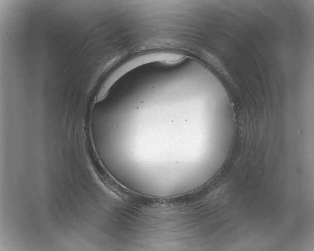 X0000063530538200602102020