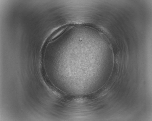 X0000063530540200602102020