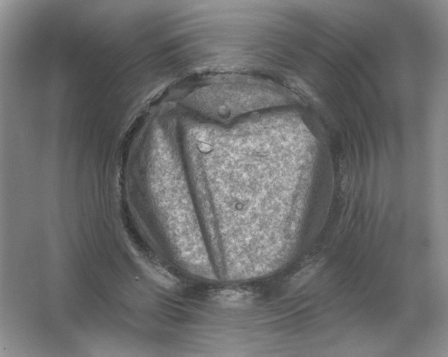 X0000063530542200602102020