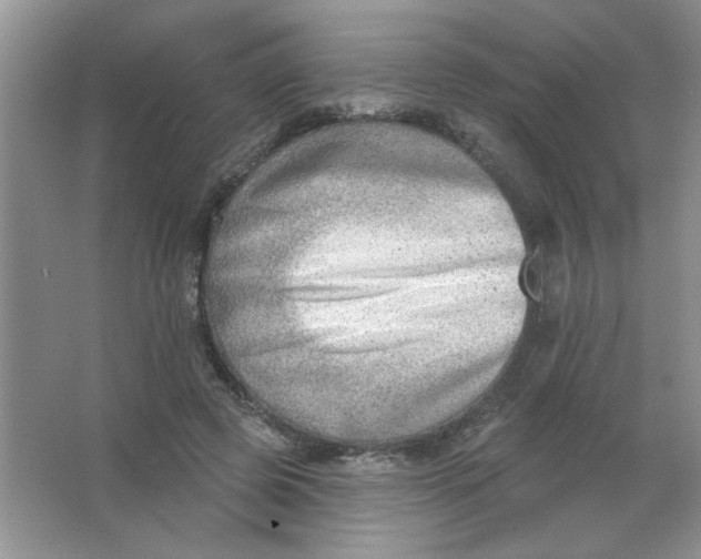 X0000063530545200602102020