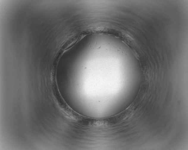 X0000063530546200602102020