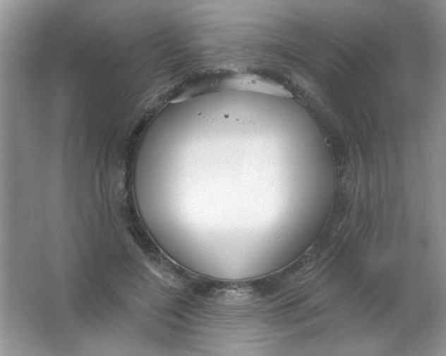 X0000063530548200602102020