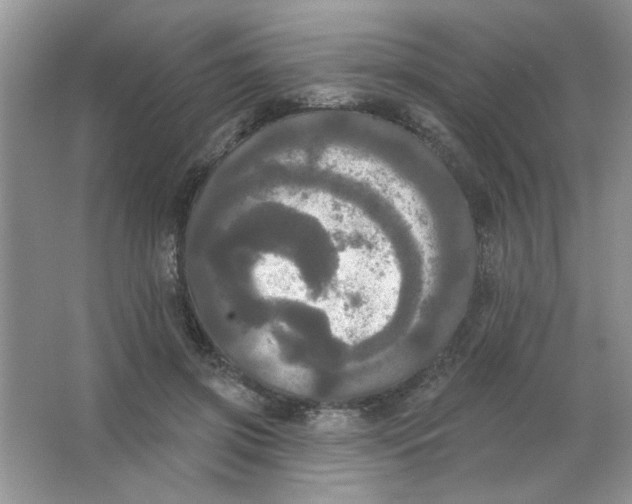 X0000063530549200602102020