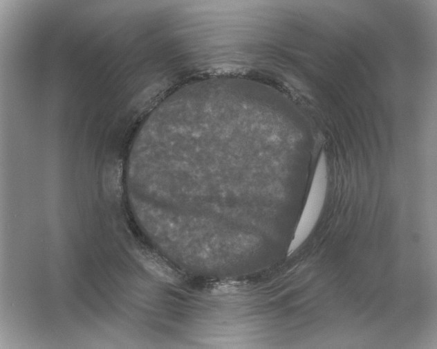 X0000063530550200602102020