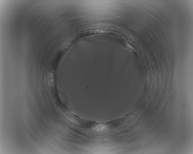 X0000063530551200602102020