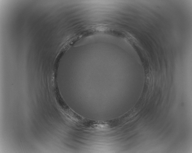 X0000063530552200602102020