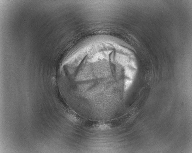 X0000063530553200602102020