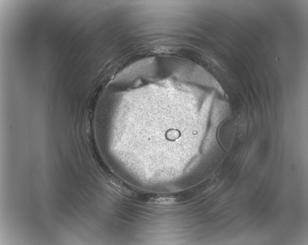 X0000063530554200602102020