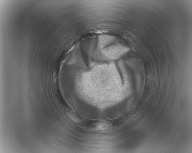 X0000063530555200602102020