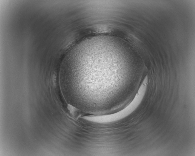 X0000063530556200602102020