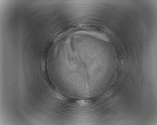 X0000063530558200602102020