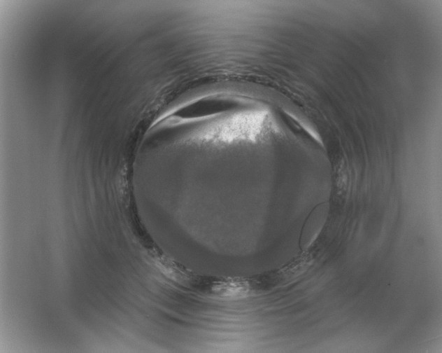 X0000063530559200602102020