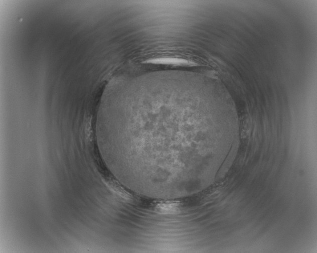 X0000063530560200602102020