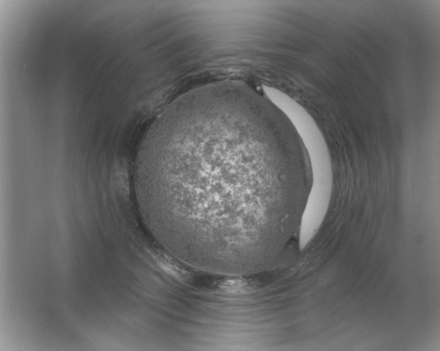 X0000063530562200602102020