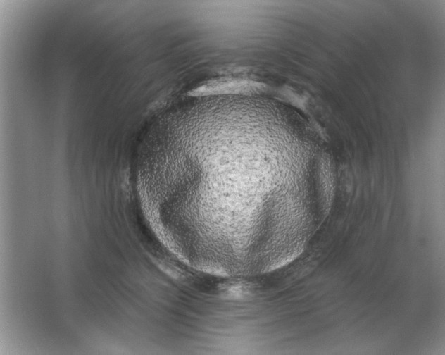 X0000063530564200602102020