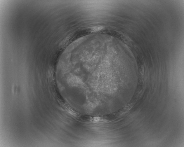 X0000063530565200602102020