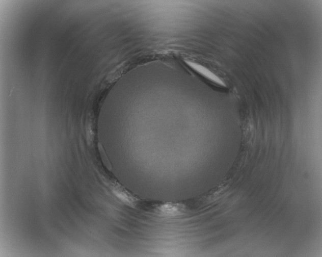 X0000063530566200602102020