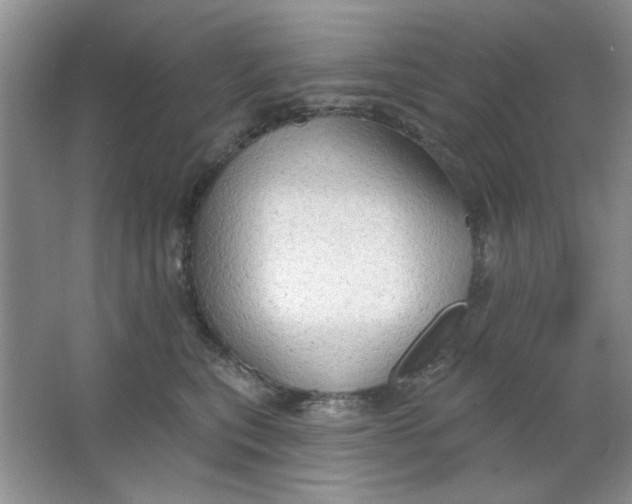 X0000063530567200602102020