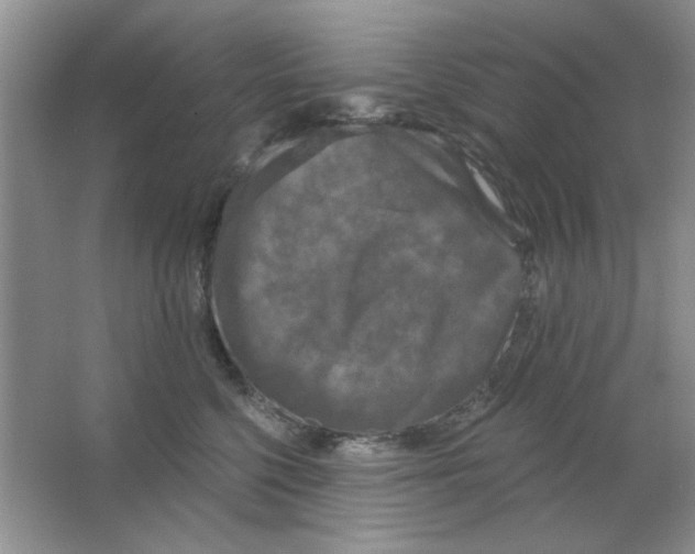 X0000063530568200602102020