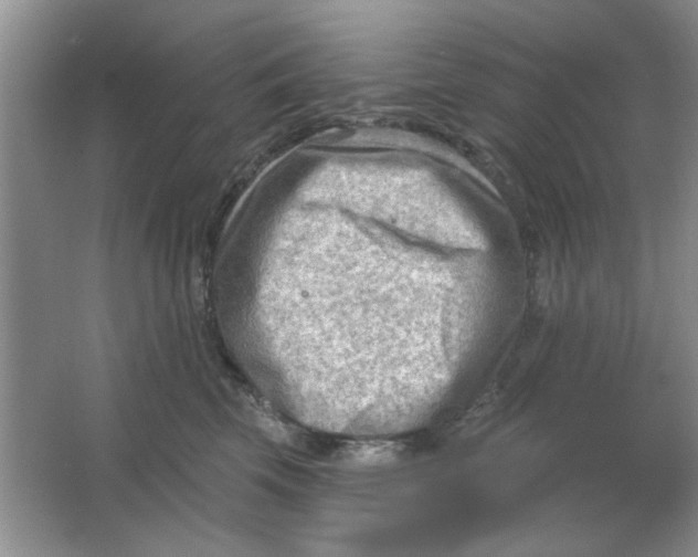 X0000063530569200602102020