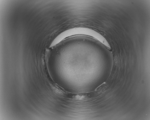 X0000063530570200602102020