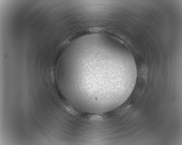 X0000063530572200602102020