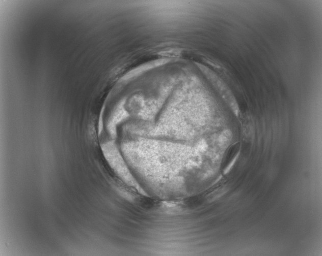 X0000063530573200602102020