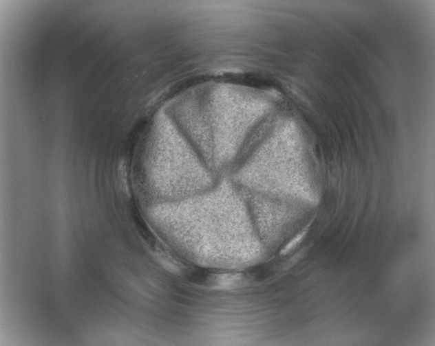 X0000063530575200602102021