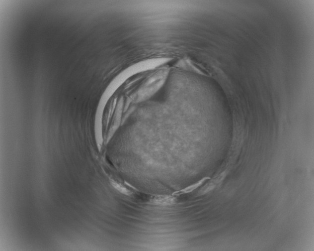 X0000063530576200602102021