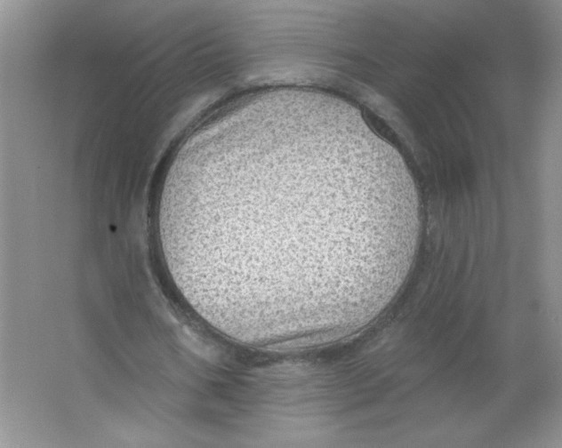 X0000063530578200602102020