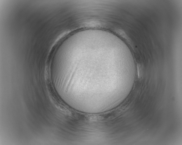 X0000063530579200602102020