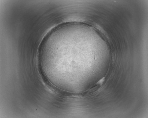 X0000063530580200602102020