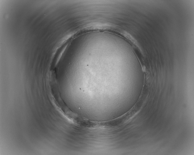 X0000063530581200602102020