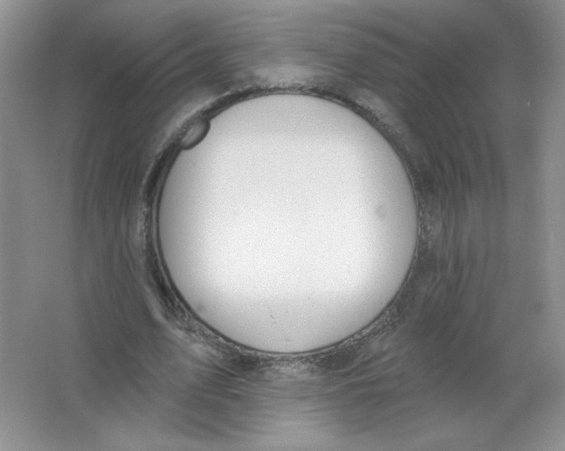 X0000063530583200602102020