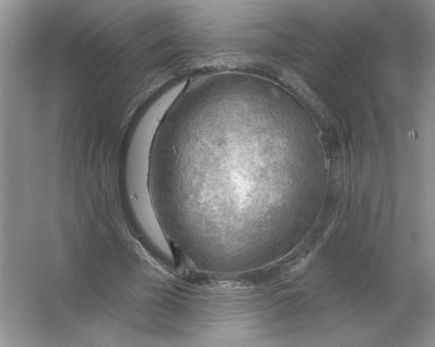 X0000063530585200602102020