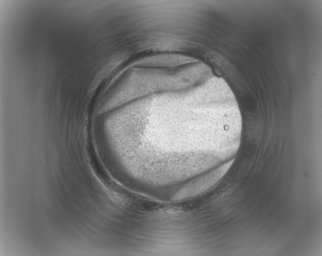 X0000063530586200602102020