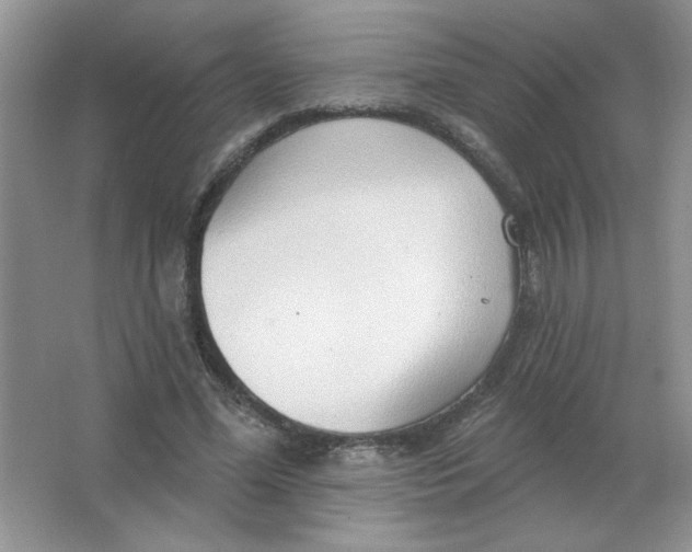 X0000063530588200602102020