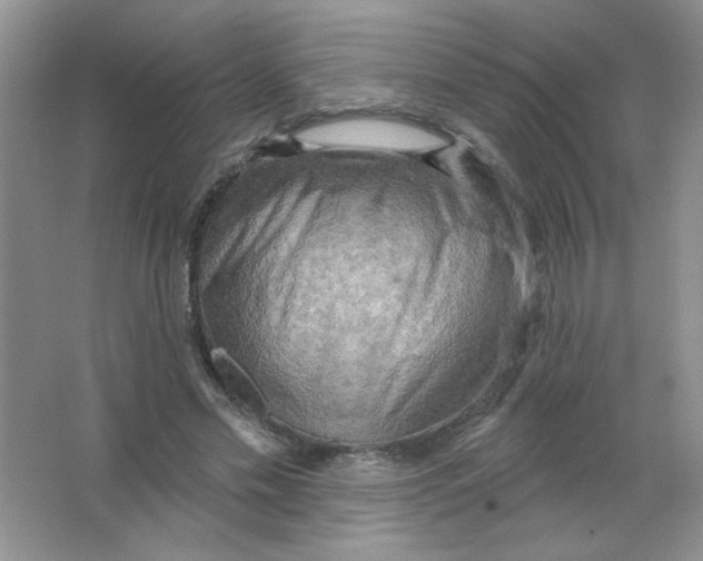 X0000063530589200602102020