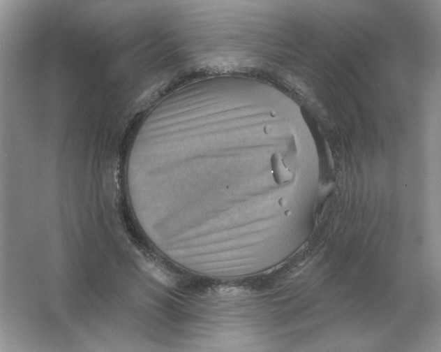 X0000063530590200602102019