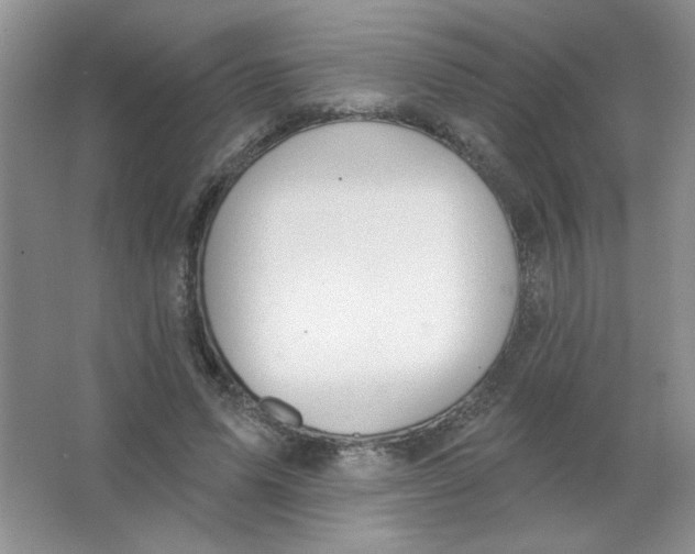 X0000063530591200602102019