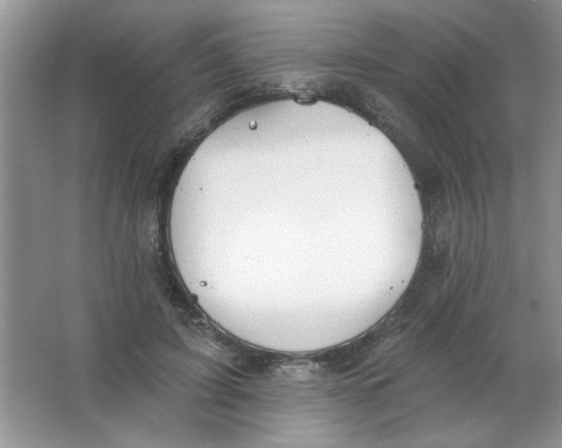 X0000063530595200602102019