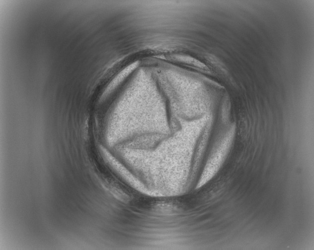 X0000063530596200602102019