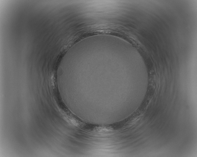 X0000063530597200602102019