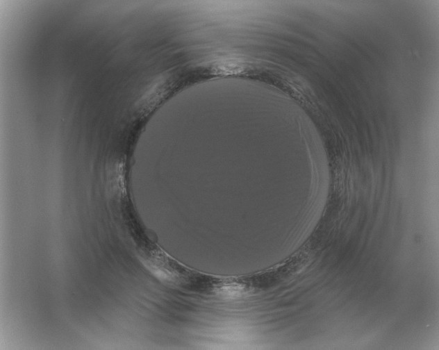 X0000063530598200602102019