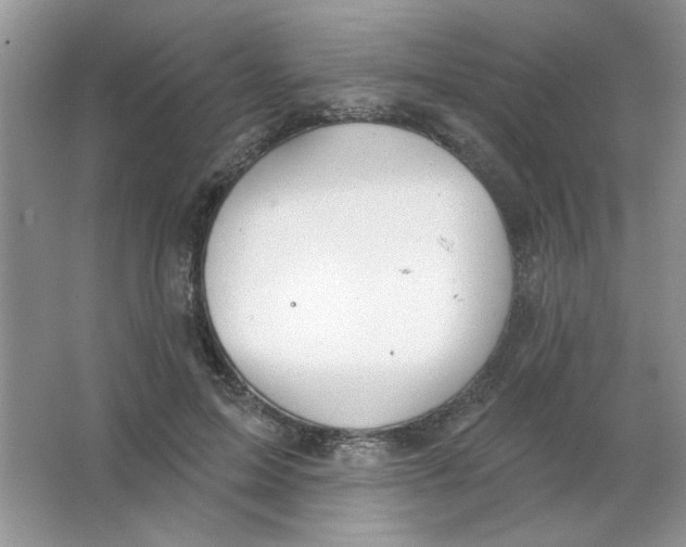 X0000063530599200602102019