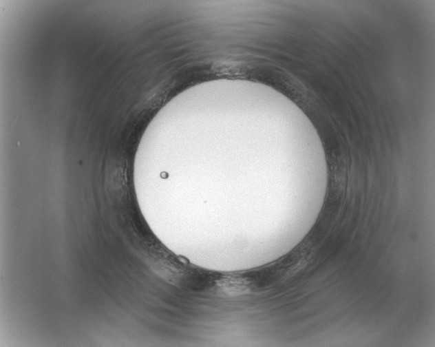 X0000063530603200602102019