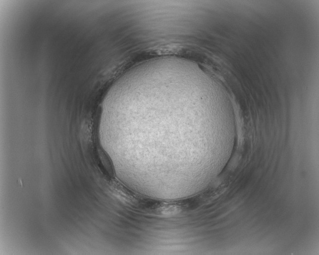 X0000063530604200602102019